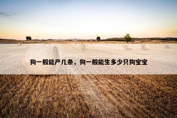 狗一般能产几条，狗一般能生多少只狗宝宝