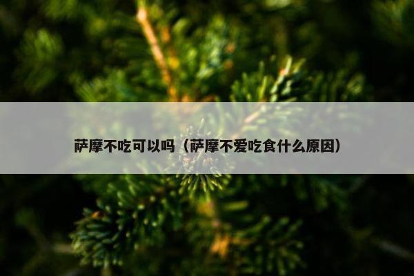 萨摩不吃可以吗（萨摩不爱吃食什么原因）