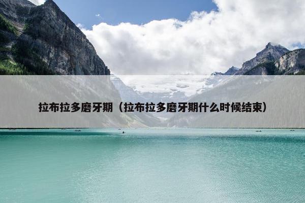拉布拉多磨牙期（拉布拉多磨牙期什么时候结束）