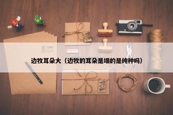 特征