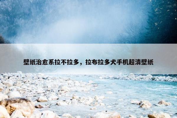 壁纸治愈系拉不拉多，拉布拉多犬手机超清壁纸