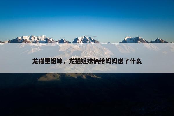 龙猫里姐妹，龙猫姐妹俩给妈妈送了什么