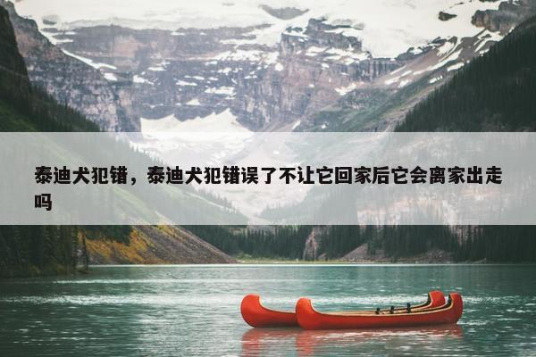 犯错