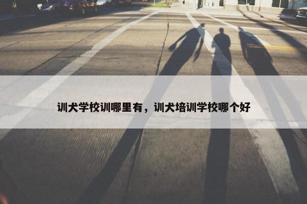 训犬学校训哪里有，训犬培训学校哪个好