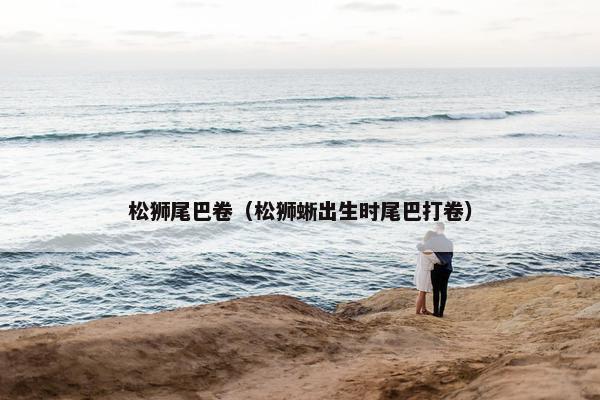 松狮尾巴卷（松狮蜥出生时尾巴打卷）