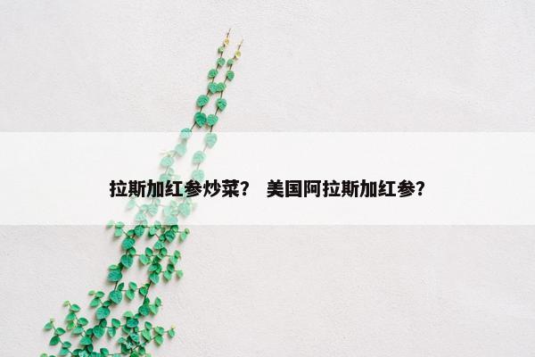 梦想启航 第18页