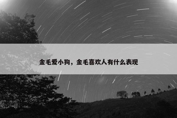 金毛爱小狗，金毛喜欢人有什么表现