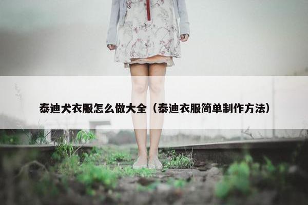 泰迪犬衣服怎么做大全（泰迪衣服简单制作方法）