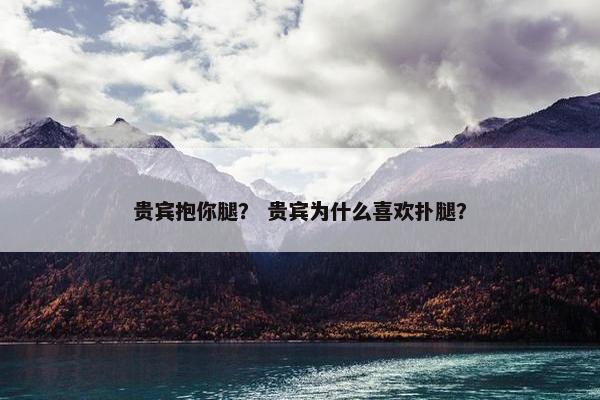 贵宾抱你腿？ 贵宾为什么喜欢扑腿？