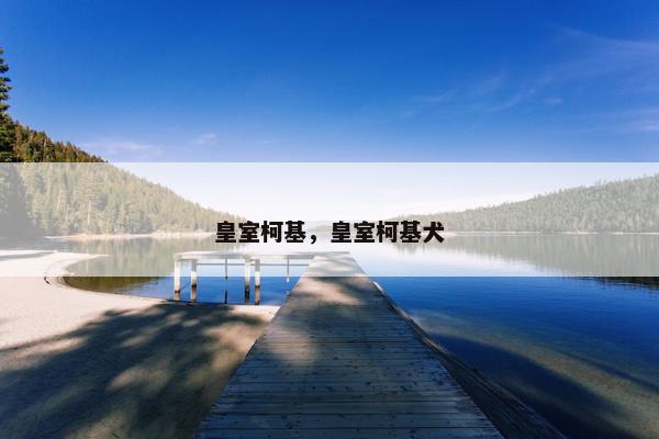 皇室柯基,皇室柯基犬