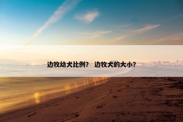 边牧幼犬比例？ 边牧犬的大小？