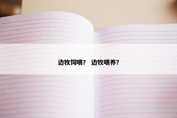 边牧饲喂？ 边牧喂养？