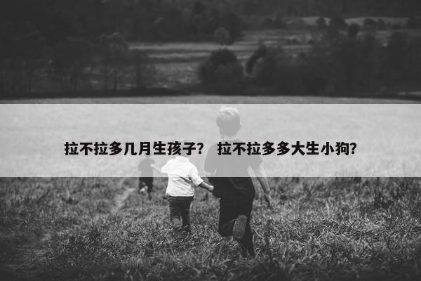 拉不拉多几月生孩子？ 拉不拉多多大生小狗？