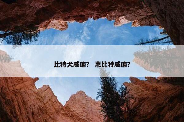 比特犬威廉？ 惠比特威廉？