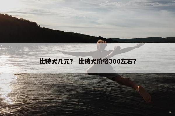 比特犬几元？ 比特犬价格300左右？