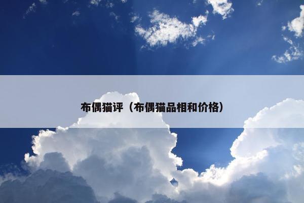布偶猫评（布偶猫品相和价格）