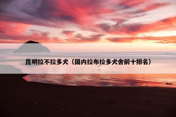 昆明拉不拉多犬（国内拉布拉多犬舍前十排名）