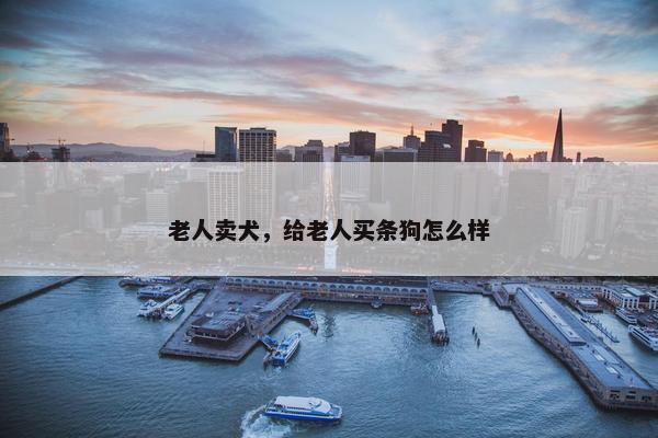 老人卖犬，给老人买条狗怎么样