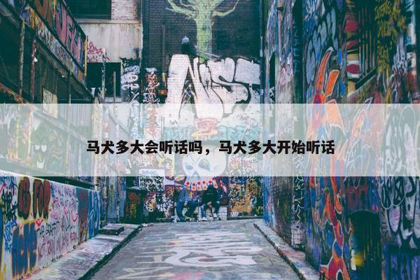 马犬多大会听话吗，马犬多大开始听话