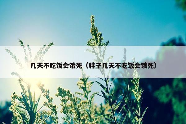 几天不吃饭会饿死(胖子几天不吃饭会饿死)