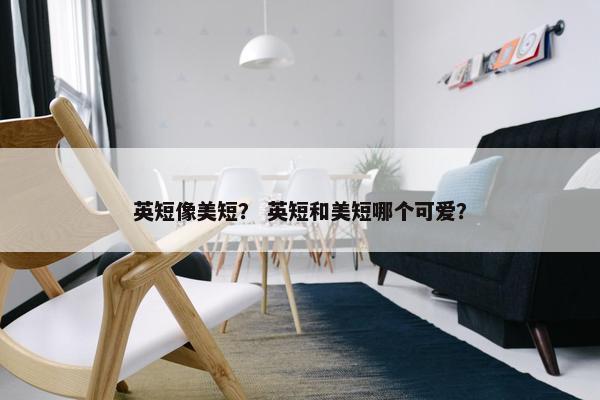 英短像美短？ 英短和美短哪个可爱？
