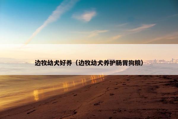 边牧幼犬好养（边牧幼犬养护肠胃狗粮）
