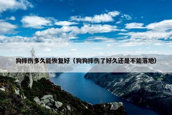 狗摔伤多久能恢复好（狗狗摔伤了好久还是不能落地）