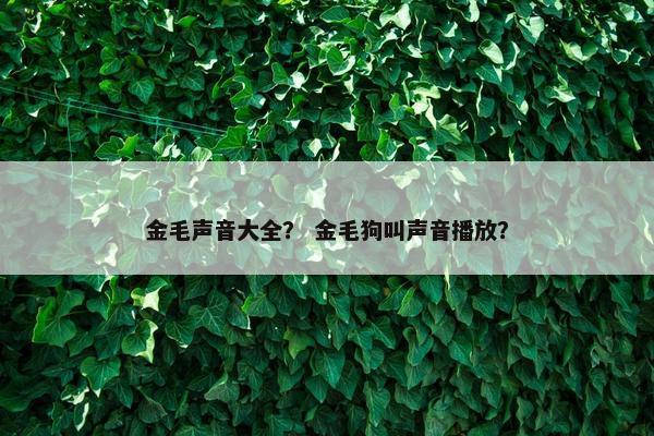 金毛声音大全? 金毛狗叫声音播放?