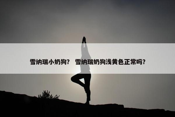 雪纳瑞小奶狗？ 雪纳瑞奶狗浅黄色正常吗？