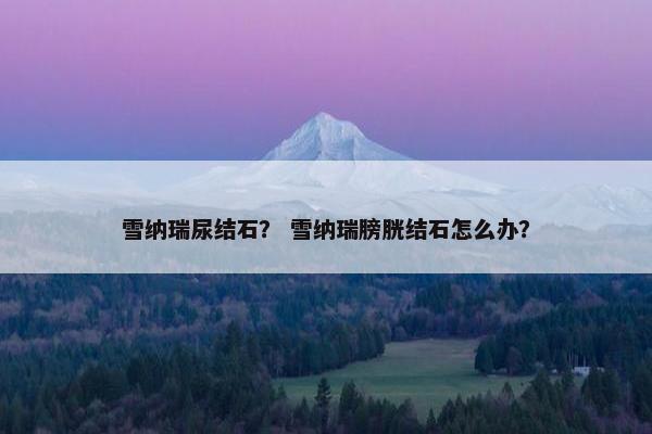 雪纳瑞尿结石？ 雪纳瑞膀胱结石怎么办？