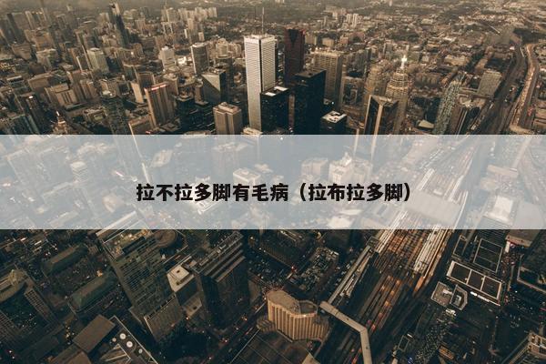 拉不拉多脚有毛病（拉布拉多脚）