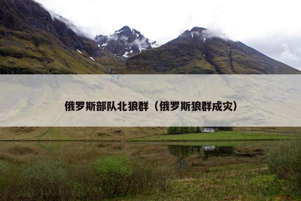俄罗斯部队北狼群(俄罗斯狼群成灾)
