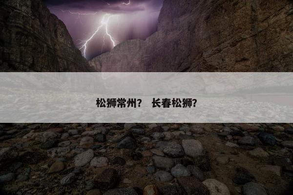 松狮常州？ 长春松狮？