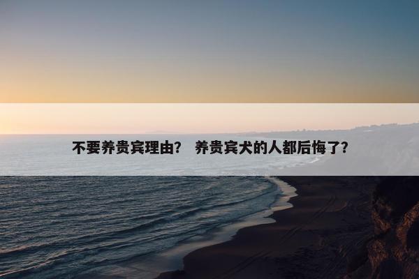 不要养贵宾理由? 养贵宾犬的人都后悔了?