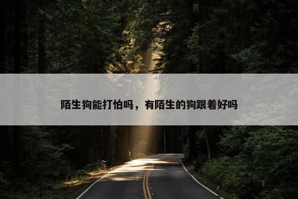 陌生狗能打怕吗，有陌生的狗跟着好吗