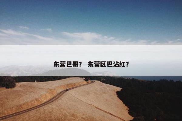 东营巴哥？ 东营区巴沾红？