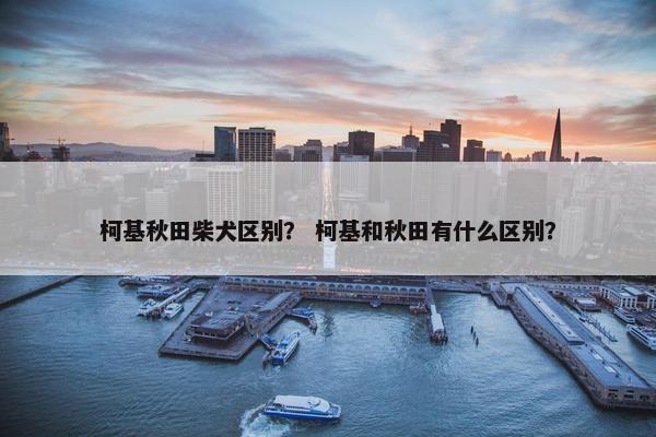 柯基秋田柴犬区别？ 柯基和秋田有什么区别？