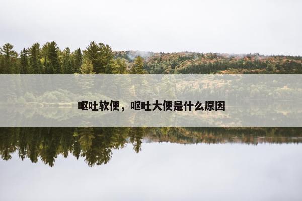 呕吐软便，呕吐大便是什么原因