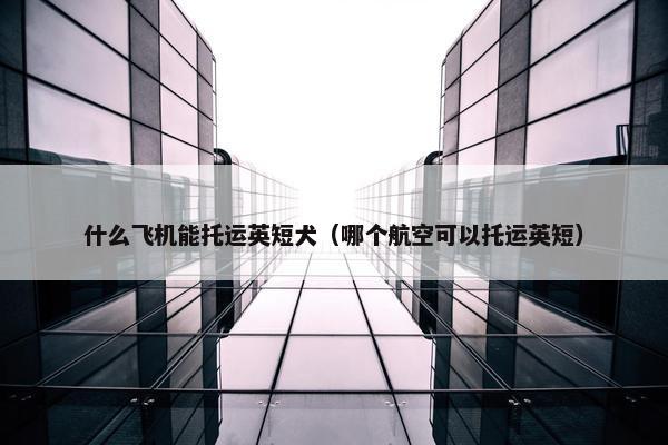 什么飞机能托运英短犬（哪个航空可以托运英短）