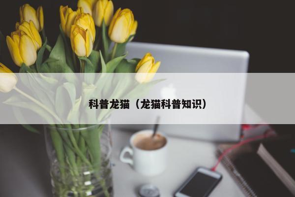 科普龙猫（龙猫科普知识）