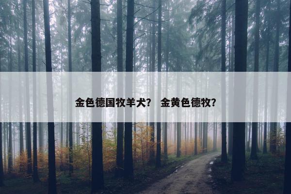 金色德国牧羊犬? 金黄色德牧?