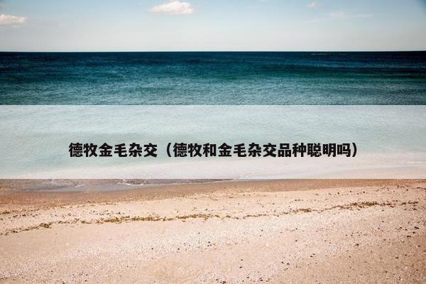德牧金毛杂交（德牧和金毛杂交品种聪明吗）