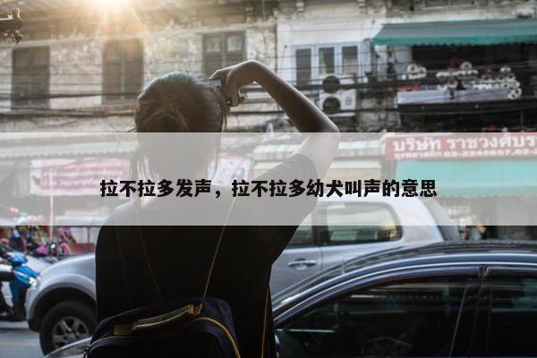 拉不拉多发声，拉不拉多幼犬叫声的意思