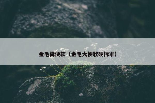 金毛粪便软（金毛大便软硬标准）