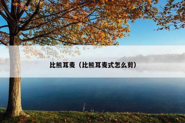 比熊耳麦（比熊耳麦式怎么剪）