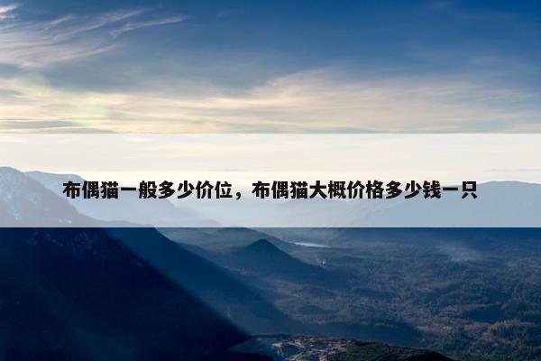 布偶猫一般多少价位，布偶猫大概价格多少钱一只