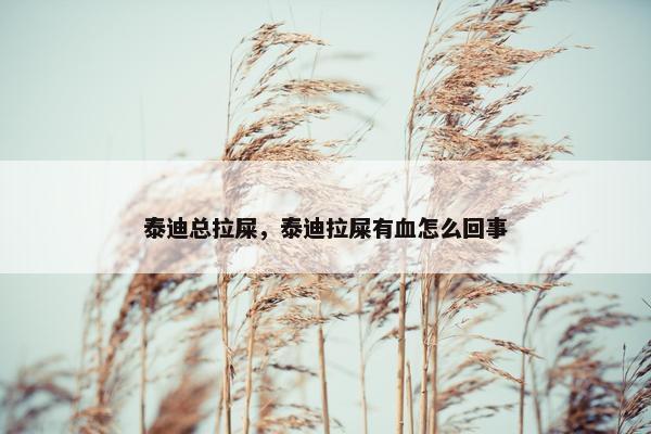 泰迪总拉屎，泰迪拉屎有血怎么回事
