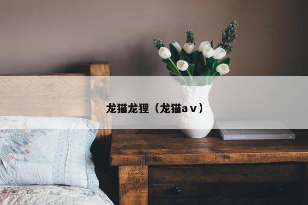 龙猫龙狸(龙猫aⅴ)