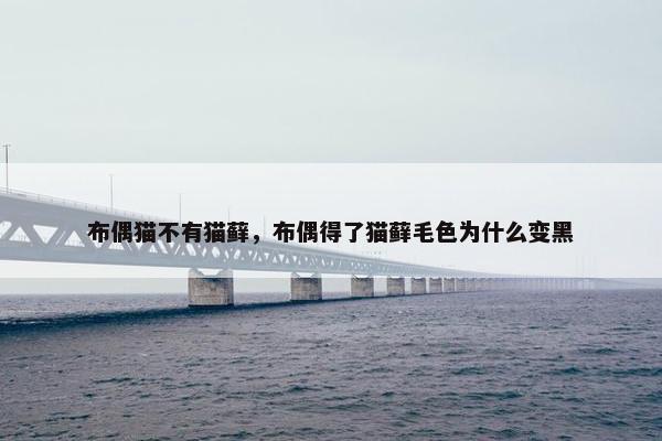 布偶猫不有猫藓，布偶得了猫藓毛色为什么变黑