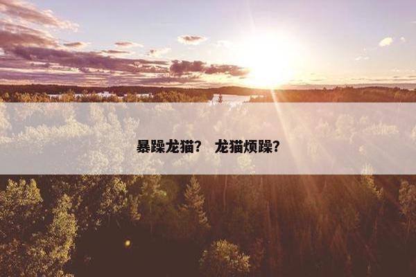 暴躁龙猫? 龙猫烦躁?